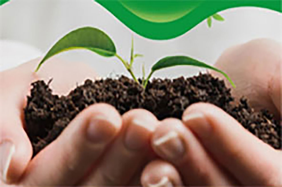 来和易格斯携手种棵环保树吧!