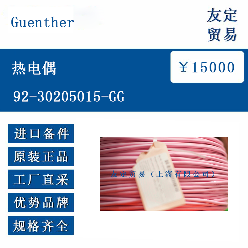 Guenther 92-30205015-GG 热电偶
